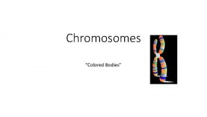 Chromosomes Colored Bodies Chromosomes carry genetic information Chromosomes