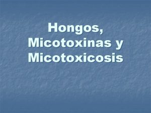 Hongos Micotoxinas y Micotoxicosis Los hongos son organismos