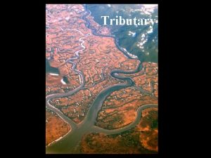Tributary Delta Alluvial Fan Drainage Basin Drainage Basins