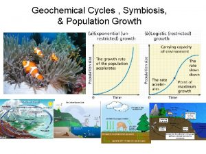 Geochemical Cycles Symbiosis Population Growth Biogeochemical Cycles of