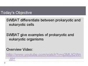 Todays Objective SWBAT differentiate between prokaryotic and eukaryotic