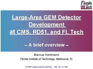 LargeArea GEM Detector Development at CMS RD 51