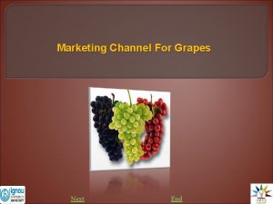 Marketing Channel For Grapes Next End Marketing channel