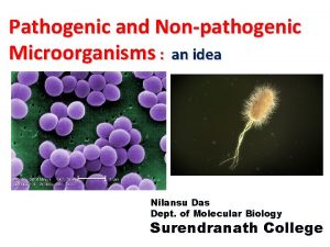 Pathogenic and Nonpathogenic Microorganisms an idea Nilansu Das