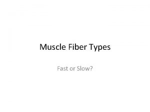 Muscle Fiber Types Fast or Slow Skeletal muscles