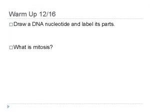 Warm Up 1216 Draw a DNA nucleotide and