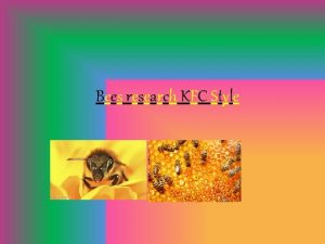 Bees research KFC Style Why are bees so