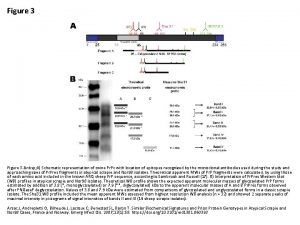 Figure 3 nbsp A Schematic representation of ovine