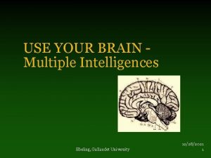 USE YOUR BRAIN Multiple Intelligences Ebeling Gallaudet University