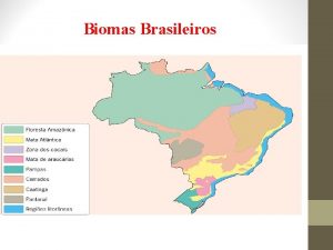 Biomas Brasileiros Floresta Amaznica Hileia Amaznica Ocupa cerca
