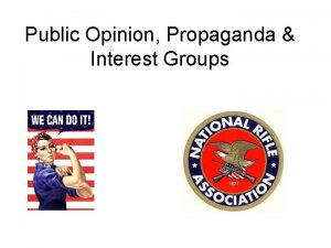 Public Opinion Propaganda Interest Groups Public Opinion How