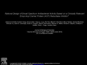 Rational Design of Broad Spectrum Antibacterial Activity Based