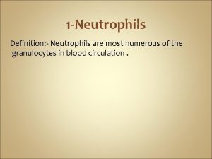 1 Neutrophils Definition Neutrophils are most numerous of