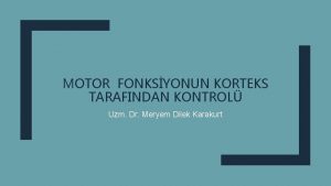 MOTOR FONKSYONUN KORTEKS TARAFINDAN KONTROL Uzm Dr Meryem