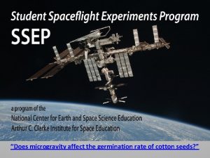 Does microgravity affect the germination rate of cotton