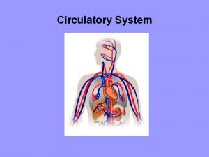 Circulatory System Functions of the Circulatory System 1