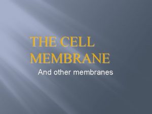 THE CELL MEMBRANE And other membranes Cell Organelle