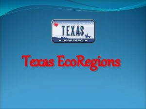 Texas Eco Regions Can you name the Regions