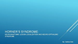 HORNERS SYNDROME NEUROANATOMIC LESION LOCALIZATION AND NEUROOPTHALMIC SYNDROME