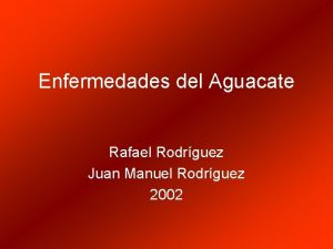 Enfermedades del Aguacate Rafael Rodrguez Juan Manuel Rodrguez