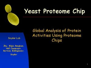Yeast Proteome Chip Snyder Lab Global Analysis of