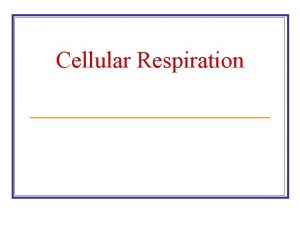 Cellular Respiration Cellular Respiration n Living things get