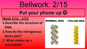 Bellwork 215 Put your phone up Week 211