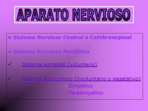 Sistema Nervioso Central o Cerebroespinal Sistema Nervioso Perifrico