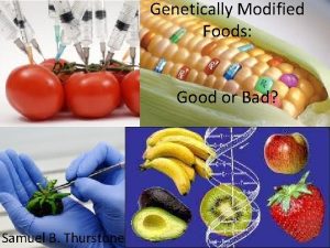 Genetically Modified Foods Good or Bad Samuel B