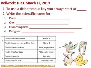 Bellwork Tues March 12 2019 1 To use