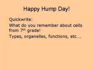 Happy Hump Day n n n Quickwrite What