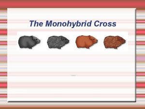 The Monohybrid Cross Mendels Work applied These problems