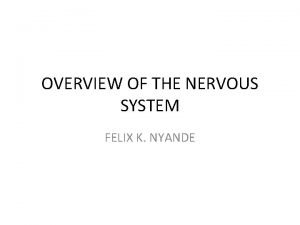 OVERVIEW OF THE NERVOUS SYSTEM FELIX K NYANDE