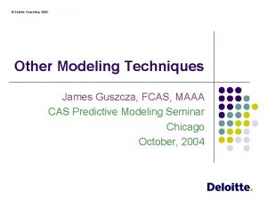 Deloitte Consulting 2004 Other Modeling Techniques James Guszcza