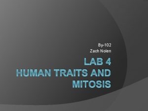 By102 Zach Nolen LAB 4 HUMAN TRAITS AND