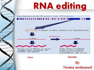 RNA editing Liver Intestine By Nesma mohamad What
