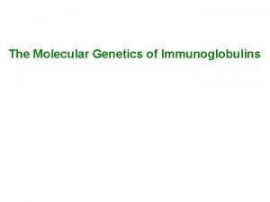 The Molecular Genetics of Immunoglobulins Recall Structure Numerous