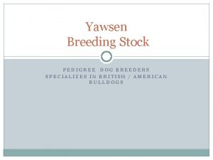 Yawsen Breeding Stock PEDIGREE DOG BREEDERS SPECIALIZES IN