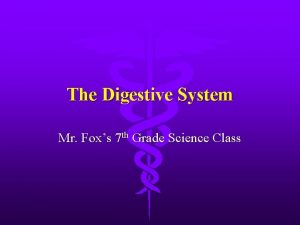 The Digestive System Mr Foxs 7 th Grade