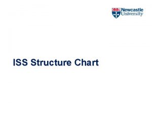 ISS Structure Chart Final ISS Organisation Structure Director