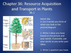 Chapter 36 Resource Acquisition and Transport in Plants