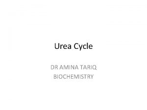 Urea Cycle DR AMINA TARIQ BIOCHEMISTRY Urea is