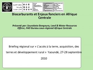 Biocarburants et Enjeux fonciers en Afrique Centrale Prsent