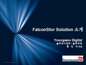 Falcon Stor Solution Youngwoo Digital Falcon Stor Software