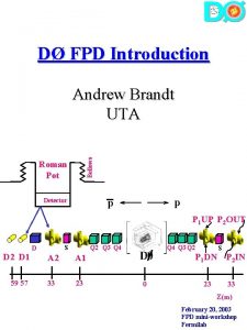 D FPD Introduction Bellows Andrew Brandt UTA Roman