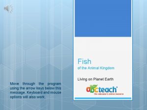 Fish of the Animal Kingdom Living on Planet