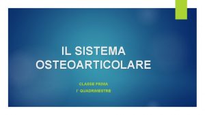 IL SISTEMA OSTEOARTICOLARE CLASSE PRIMA I QUADRIMESTRE LA