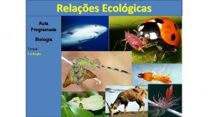 Relaes Ecolgicas Aula Programada Biologia Tema Ecologia Relaes