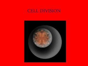 CELL DIVISION CELL SIZE Why cells are small