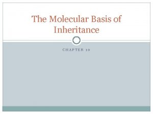The Molecular Basis of Inheritance CHAPTER 10 DNA
